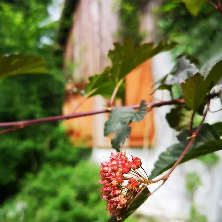 Сasa de vacaciones Siedlisko Pod Debem