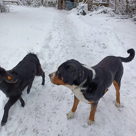 Сasa de vacaciones Siedlisko Pod Debem *