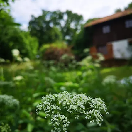 Holiday home Siedlisko Pod Debem Kalnik