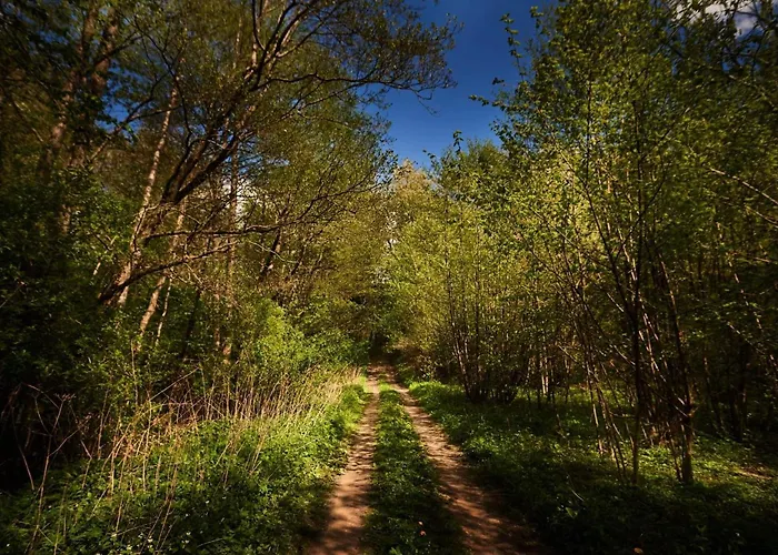 Siedlisko Pod Debem Дом отдыха Kalnik