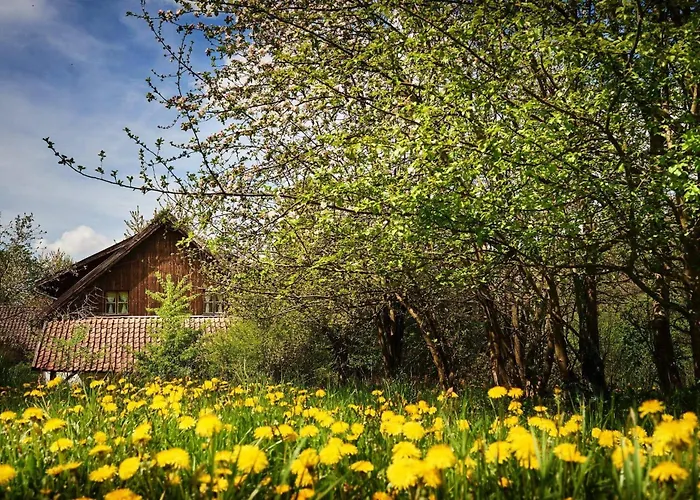 Дом отдыха Siedlisko Pod Debem *
