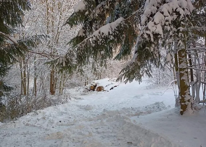 Siedlisko Pod Debem *