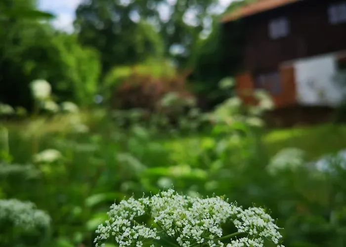 Дом отдыха Siedlisko Pod Debem Kalnik