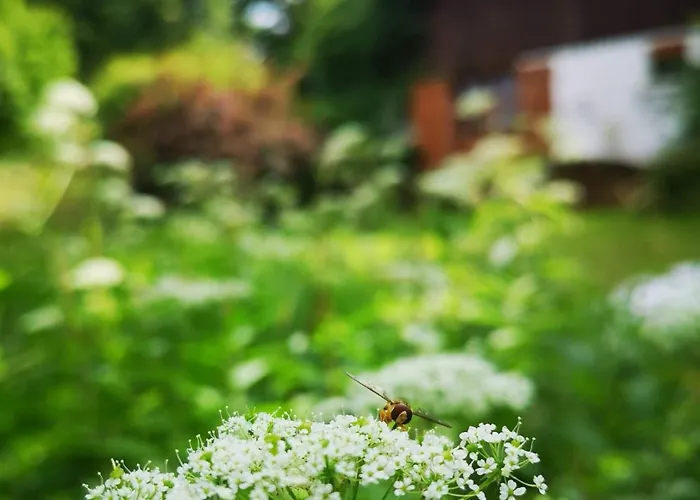 Siedlisko Pod Debem Kalnik